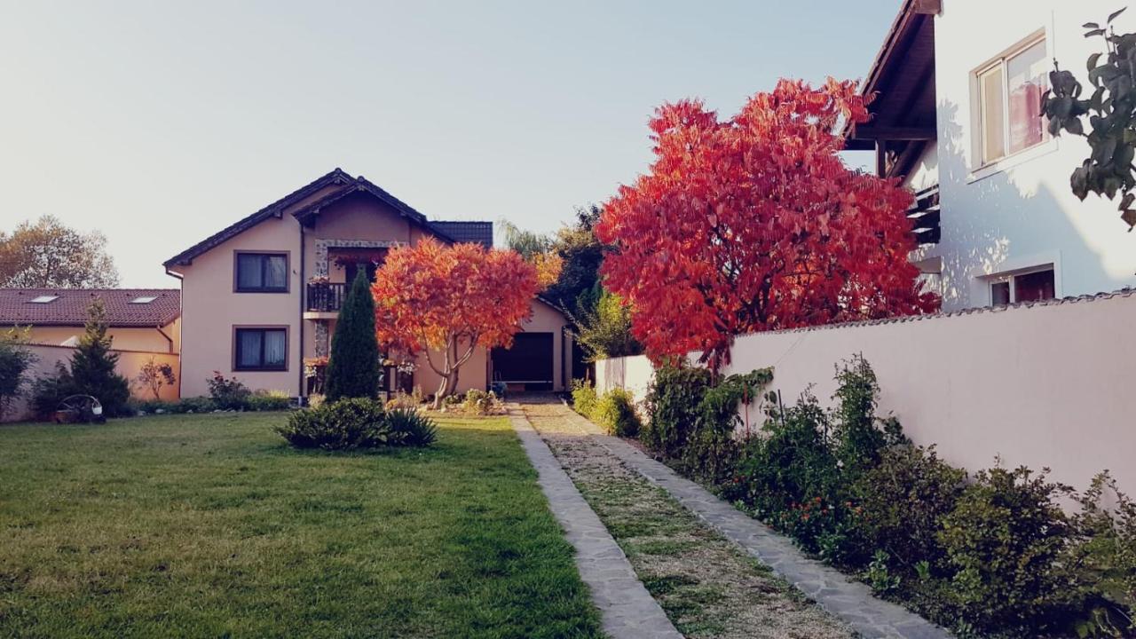 Celeste House سيبيو المظهر الخارجي الصورة